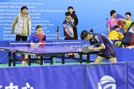 牛牛你是不是上头了（牛牛，你是不是冲昏头了？）